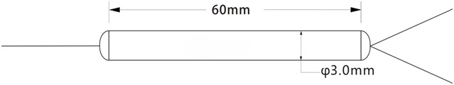Fused WDM Dimension
