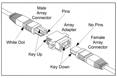 What Is an MPO Adapter? Types, Polarity & Selection Guide - How Does an MPO Adapter Work