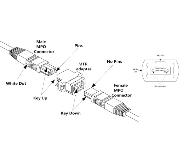 What Is an MPO Adapter? Types, Polarity & Selection Guide