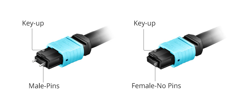 What Is an MPO Connector? Types, Structure, MPO vs. MTP, and Applications - MPO Male vs. Female What Is the Difference