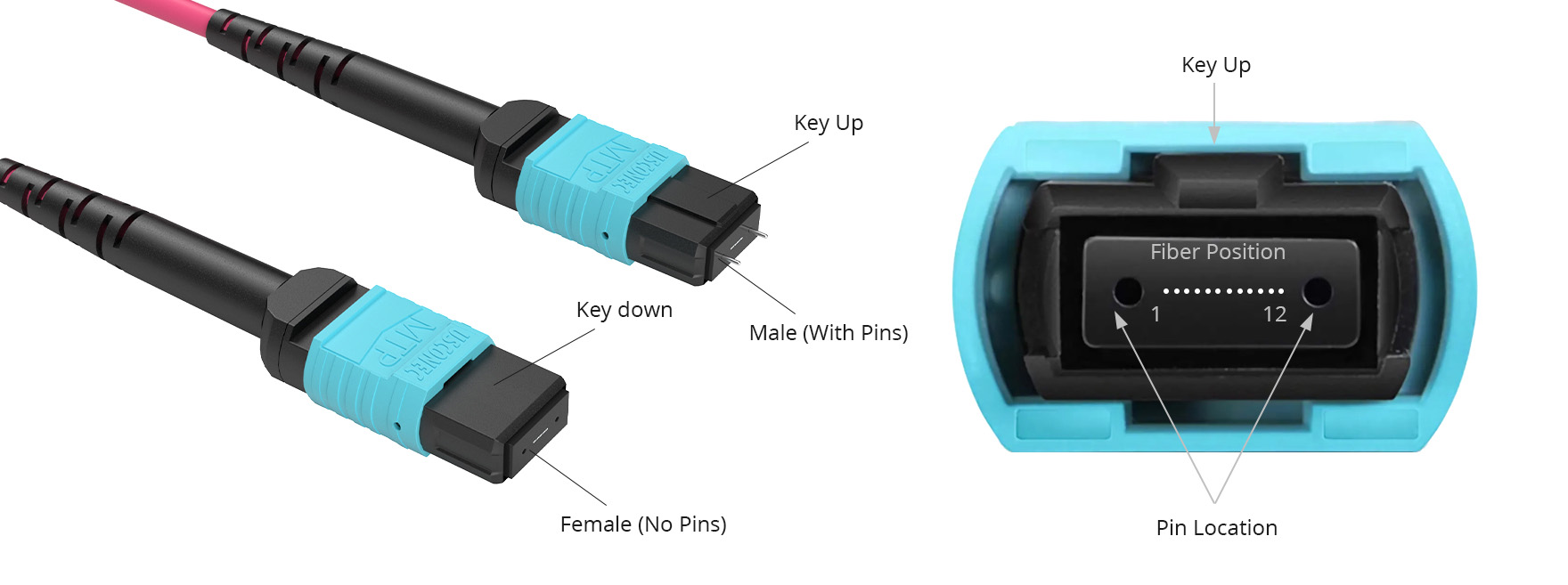How to Choose an MPO Cable: Polarity, Gender, Fiber Count, and Performance - Choose Pinned or Unpinned MPO Connectors