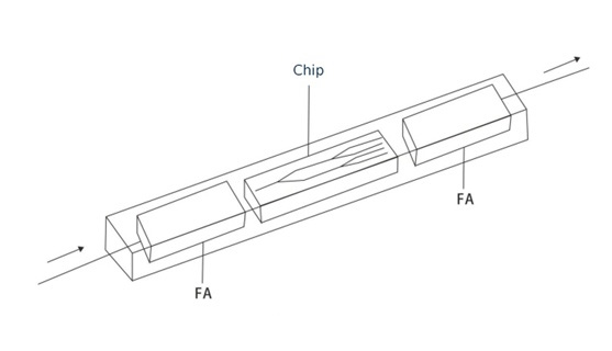 What Is a Blockless PLC Splitter? Packaging and Selection Guide - Blockless PLC Splitter Structure