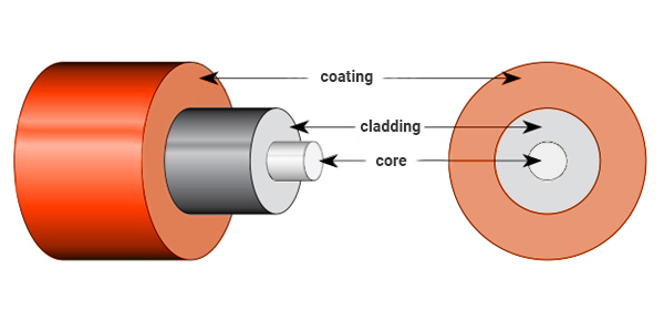 What Is a Bare Fiber PLC Splitter? Types, Specifications, Applications & Selection Guide - Bare Fiber Structure